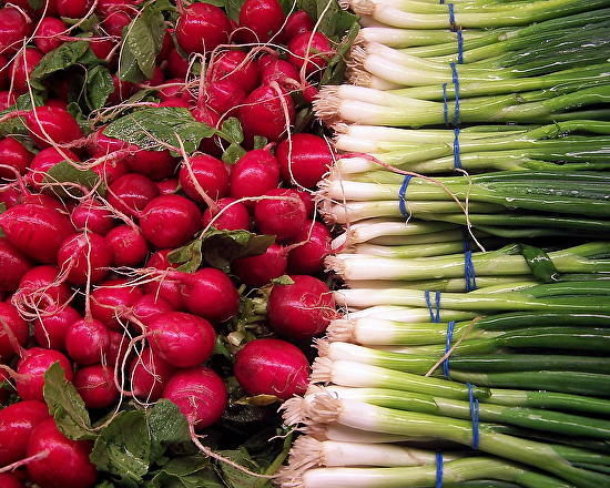 OnionsRadishes 550